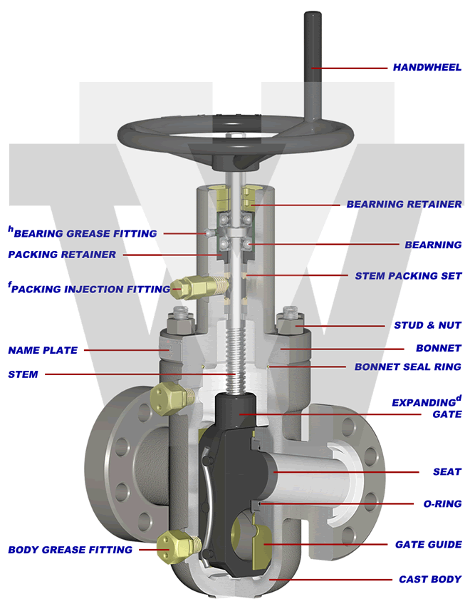 Model XT1DS Gate Valve