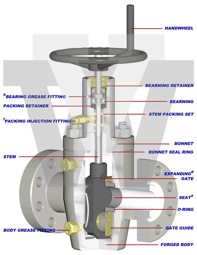 Model XT1RC DS Gate Valve