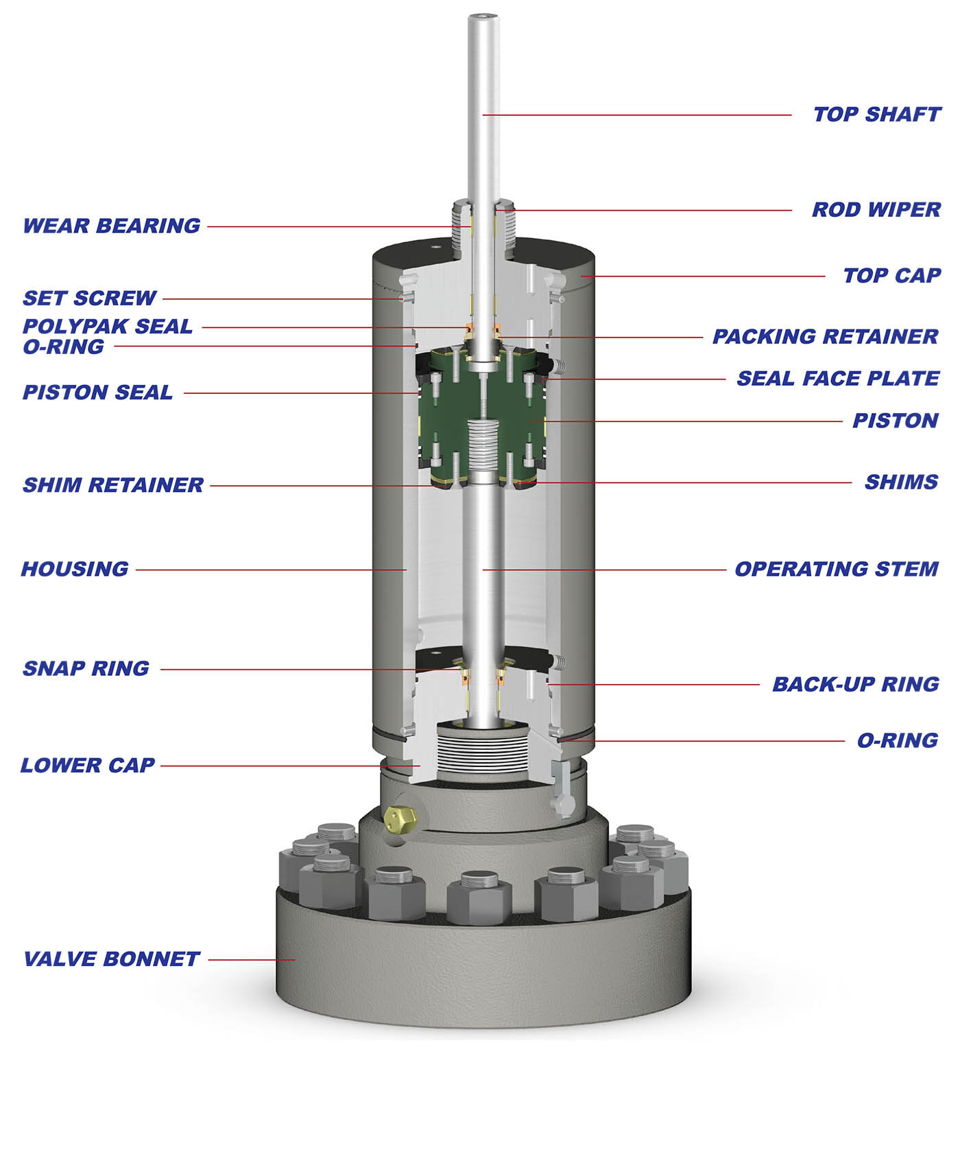 Double Acting Hydraulic Actuator Cutaway Diagram